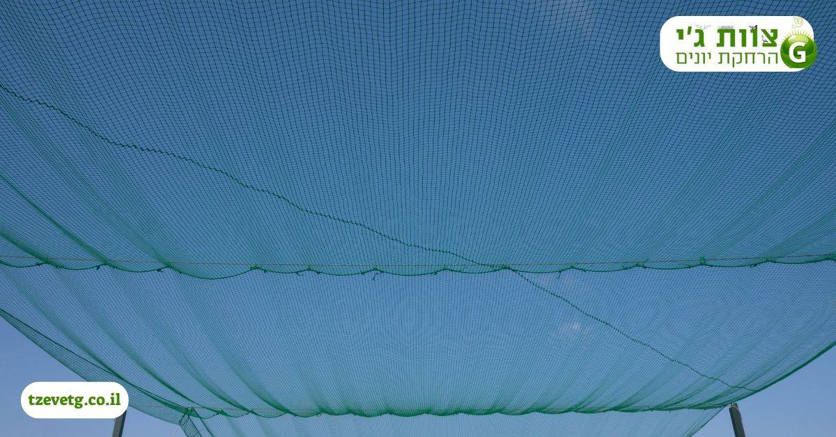 רשת נגד ציפורים בגג רעפים - שלבי סגירת הפתחים